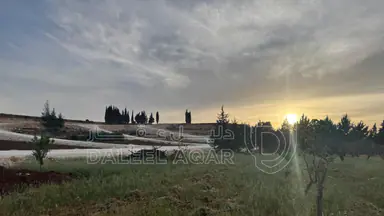أرض في بلعاس - يبعد 6 دقائق عن طريق المطار - 185,000 دأ - صورة NaN